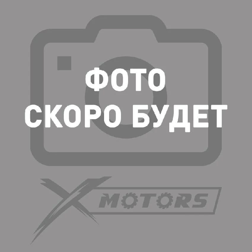 Кольца поршневые (RING SET-STD) Кольца поршневые (RING SET-STD)