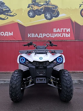 Квадроцикл PROMAX RENEGADE 300