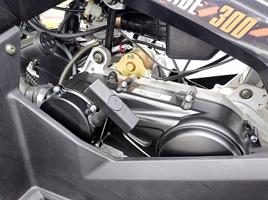 Квадроцикл PROMAX RENEGADE 300 WINCH PRO