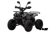 Квадроцикл UNIVERSAL ATV 125 TM Classic