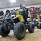 Квадроцикл PROMAX ATV 250