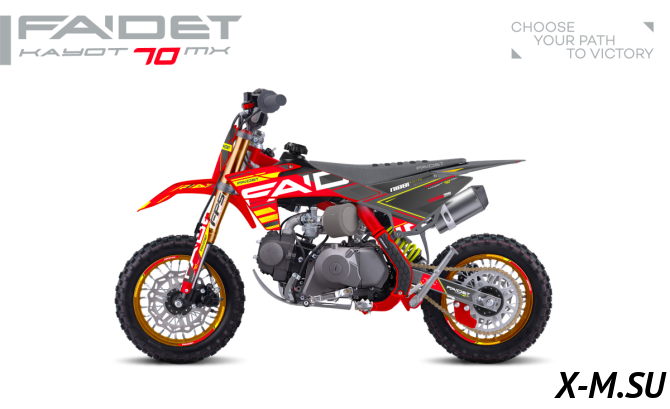 Питбайк FAIDET KAYOT 70 12/10